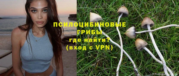 альфа пвп Надым