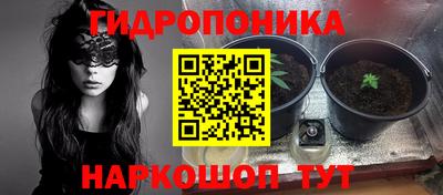 не бодяженный Жуковский