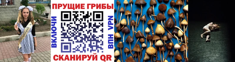 мега ссылка  Симферополь  Галлюциногенные грибы MAGIC MUSHROOMS 