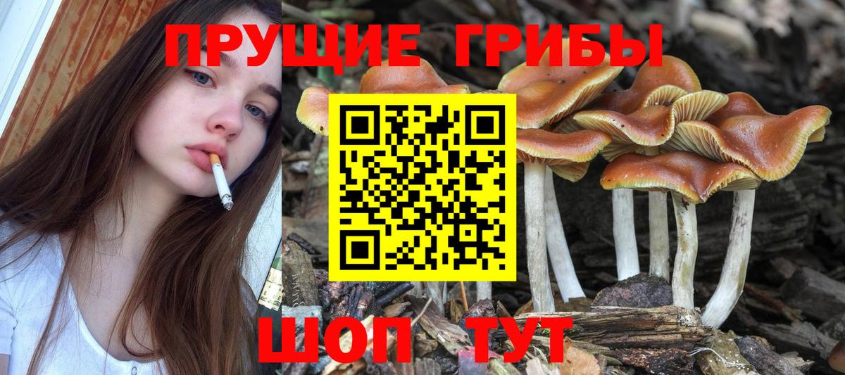 Симферополь  Псилоцибиновые грибы ЛСД  Вход с VPN  Псилоцибиновые грибы GOLDEN TEACHER 